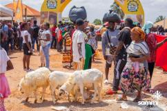 WhatsApp Image 2025-04-01 at 13.46.43 (2) WhatsApp Image 2025-04-01 at 13.46.43 (2)